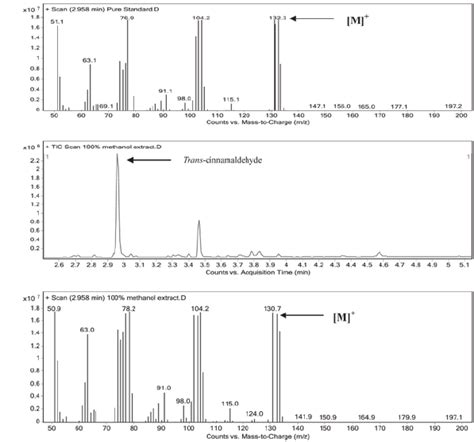 gas analysis by mass spectrometry|how to interpret gcms results.